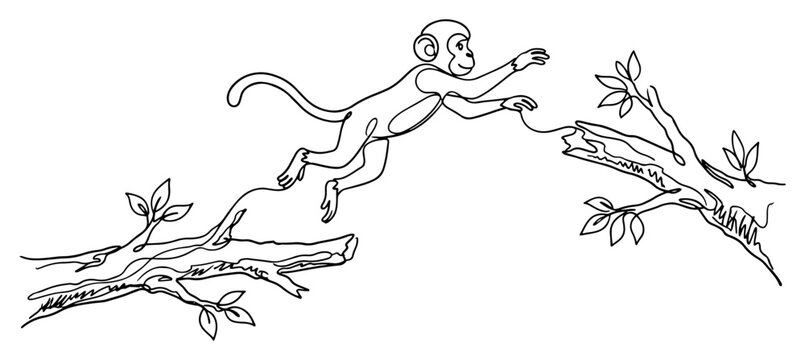 Monkey jumping between tree branches in nature in continuous line art style