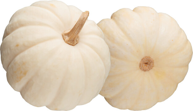 Two white mini pumpkins side view isolated on transparent background