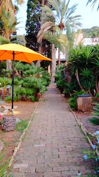 Lush garden with palm trees, a brick path, and vibrant blue flowers. An orange parasol provides shade. The path leads towards a white building on a hill. Tranquil tropical scenery