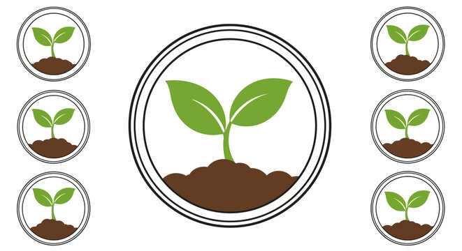 Green plant sprouts in brown soil.