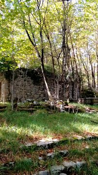 A vertical video clip capturing the atmospheric ruins of a stone building, likely a former karaula border guardhouse, in the sun-dappled forest near Kastav, Croatia