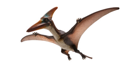 Isolated realistic Pteranodon model flying, ancient prehistoric extinct reptile in air © Andrei