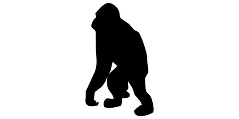Silhouette of a Gorilla © TARIK EL ADRAOUI