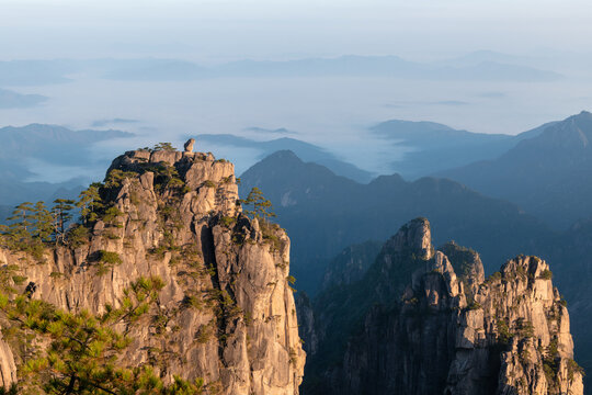 View of the Monkey Gaping at the Sea rock formation on a granite peak surrounded by ancient pine trees and a misty sea of clouds at sunrise Huangshan, Anhui, China.
