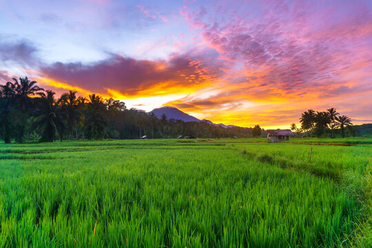 The natural beauty of the Indonesian mountains with beautiful tropical forests at sunrise