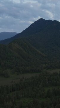 Drone footage of dark green taiga covering mountain slopes under cloudy sky near Zamul'ta village, Ust-Koksinsky District, Altai Republic, Russia