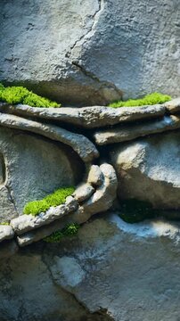 Vertical video: Panning camera revealing ridged stone face at rock wall, showing moss, crack, pool