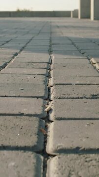 Vertical video: Pulling camera back from tight focus, revealing seam on concrete pavers with leaves