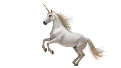 Obraz premium Isolated majestic white unicorn with golden horn rearing up powerfully, dynamic mythical fantasy creature
