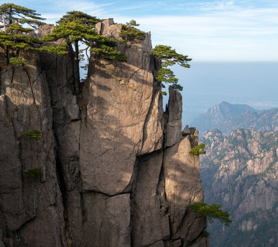 View of steep granite cliffs with ancient pine trees clinging to the rocks under a clear blue sky in Huangshan City, Anhui, China.