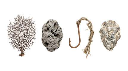 Fototapeta premium Nautical collage set with a sea fan, volcanic rock, rusty fishhook with rope, and oyster shell on a transparent background