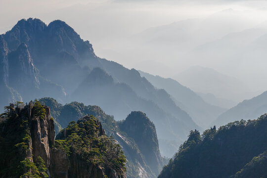 View of the jagged granite peaks of Huangshan mountain covered in pine trees and surrounded by a sea of clouds and morning mist Huangshan City, Anhui, China.