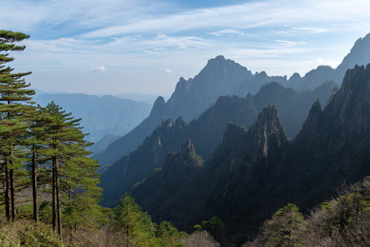 View of the granite peaks of Huangshan with ancient pine trees and a light mist under a blue sky in Huangshan City, Anhui, China.