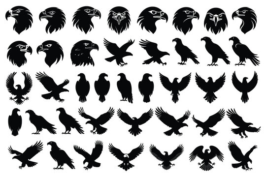 Eagle Silhouette Bundle Vector Set with Flying Hawk and Falcon Bird Illustration 