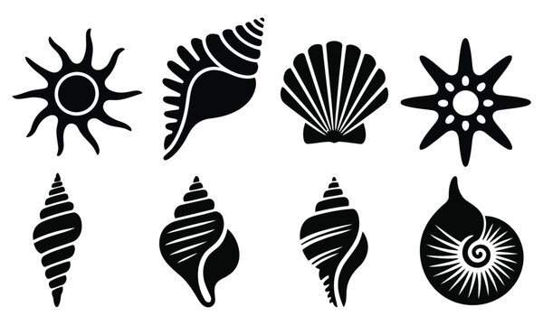 Sea Shell and Starfish Silhouette Vector Set Illustration 