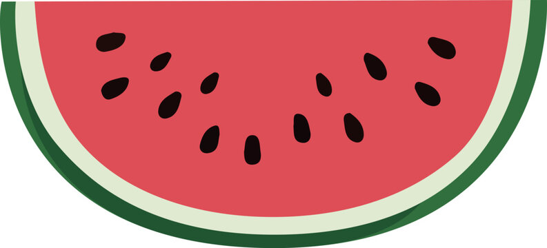Watermelon Slice Illustration Isolated on White Background