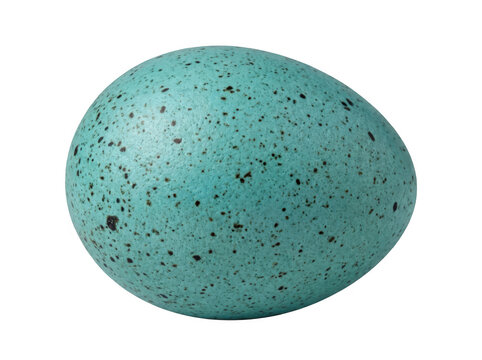 Single blue-green speckled robin egg, ovate and as transparent object isolated on transparent background