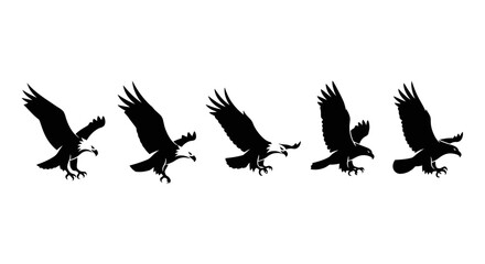 Fototapeta premium Sequence of eagle in flight showing wing movement.