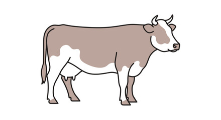 Illustration of a Brown and White Cow Standing.