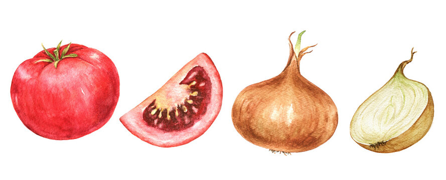 Tomatoes, tomato slices, onions and onion halves watercolor vegetable clipart set for recipe cards, menu templates, packaging labels and seasonal cooking projects.