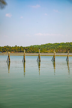 View of wooden poles standing in the calm river water with reflections and a lush tropical shoreline under a clear sky Kannur, Kerala, India.