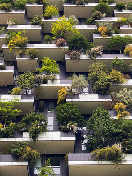 Milan, Italy - May 18, 2023: Balconies packed with trees and shrubs at Bosco Verticale tower showcasing vertical garden architecture in combination with sustainability