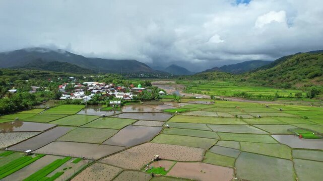 Aerial drone footage of Rite village in the middle of a beautiful watery rice field valley, with its mosque, in cloudy weather, in Bima area, Sumbawa island, Indonesia