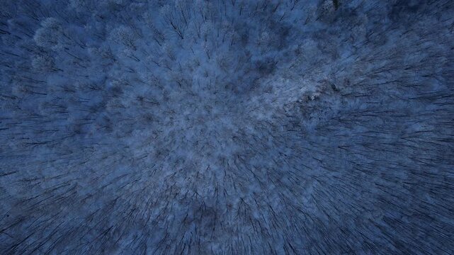 4k aerial Vermont trees during winter directly overhead 