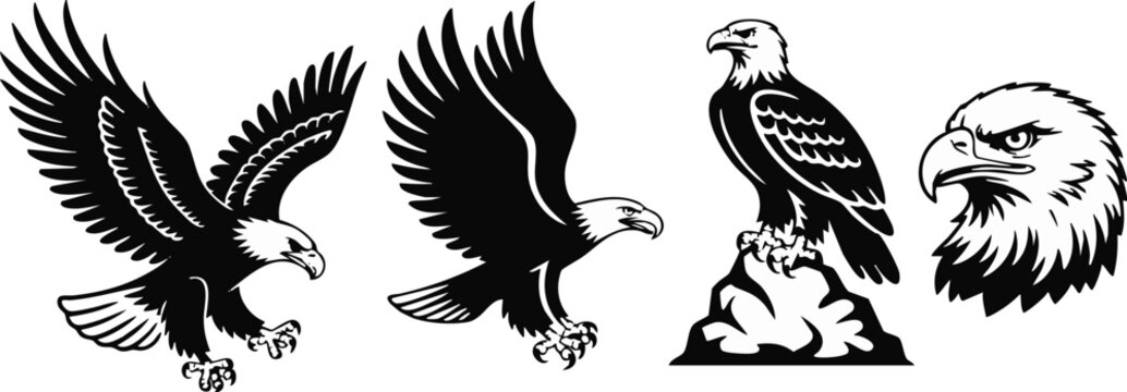 eagle logo emblem silhouette wings spread talon beak profile