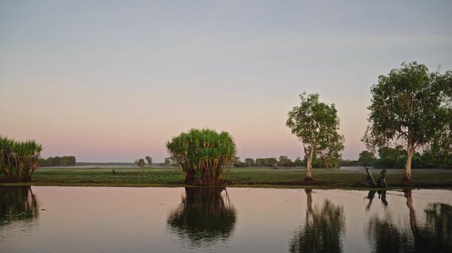 Trees Reflected in Still Water at Sunset Yellow Water Billabong Kakadu National Park