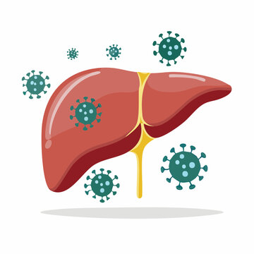 Illustration of Liver Affected by Viruses