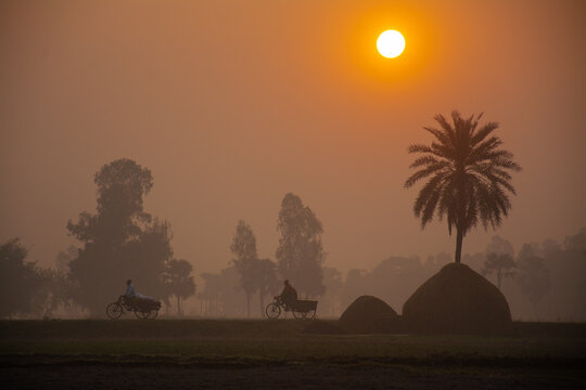 Joypurhat, Bangladesh - 24 November 2023: View of two people cycling on a rural path during a misty sunrise with a palm tree and haystacks in the background.