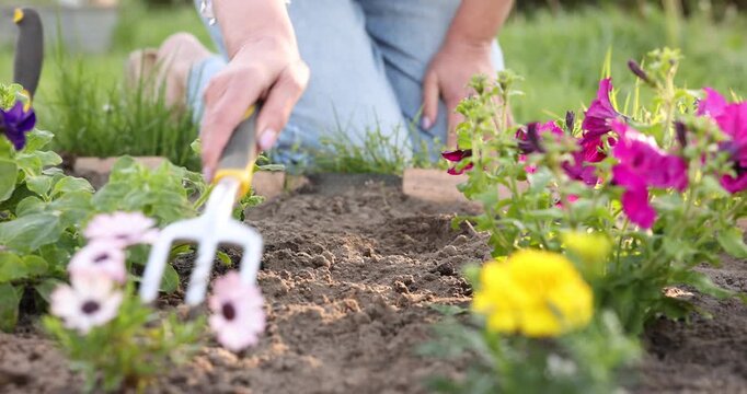 Gardening season. Woman working with rake in garden, closeup