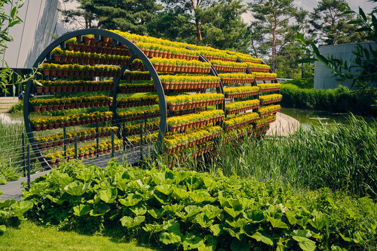 Wolfsburg, Germany - 06 June 2025: View of the Autostadt park featuring a circular floral tunnel structure with rows of yellow potted plants surrounded by lush greenery and a pond.