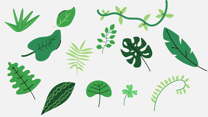 Tropical exotic green leaves vector set with monstera, palm, and jungle foliage © living the dream