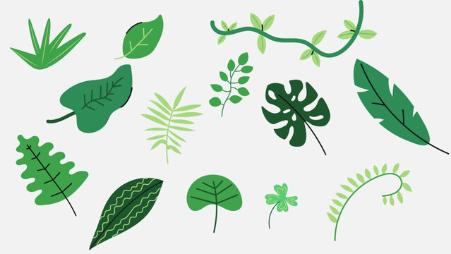 Tropical exotic green leaves vector set with monstera, palm, and jungle foliage