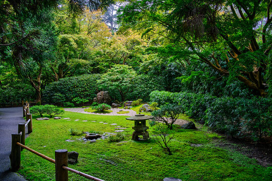 A partially shaded Japanese Tea Garden