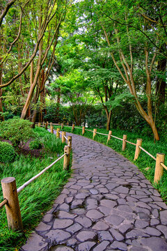 A partially shaded Japanese Tea Garden