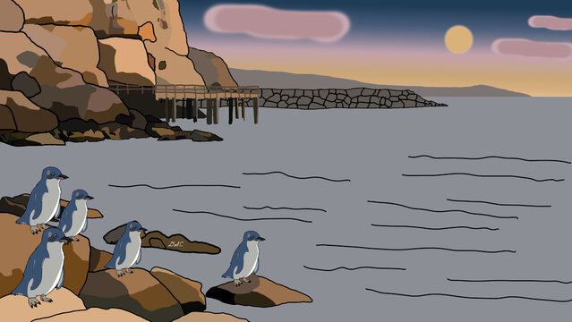 Little Blue Penguins: Return to Oamaru
