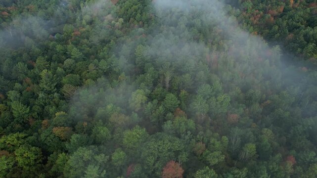 4k aerial vermont summer foggy trees and ponds
