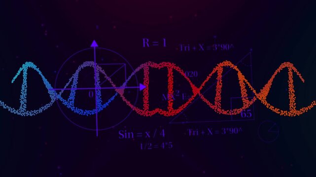 Particle double-helix waveform pulsing and shifting after circle fading in, revealing math guides