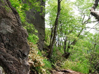 Obraz premium Hike to Mt.Fuppushi from the trail head of Mt.Tarumae