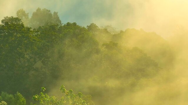 Morning fog drifts through untouched tropical forest under golden light, embodying purity, sustainability, carbon storage, nature&rsquo;s resilience, ecological balance, and global climate care. Thailand.
