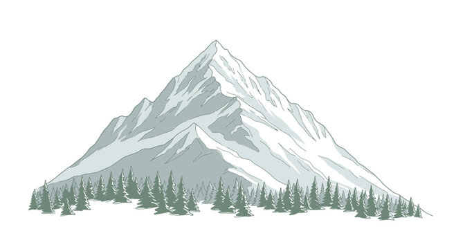 Snowy mountain peak with pine trees.