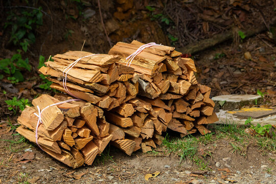 Image where there is a group of wooden logs tied with a rope, wood for making tables, chairs, and it is also used as firewood, the wood is next to the road on the grass