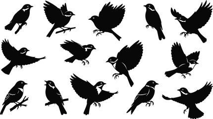 Obraz premium Collection of black bird silhouettes in various poses including flying perching and landing for nature design projects vector illustration