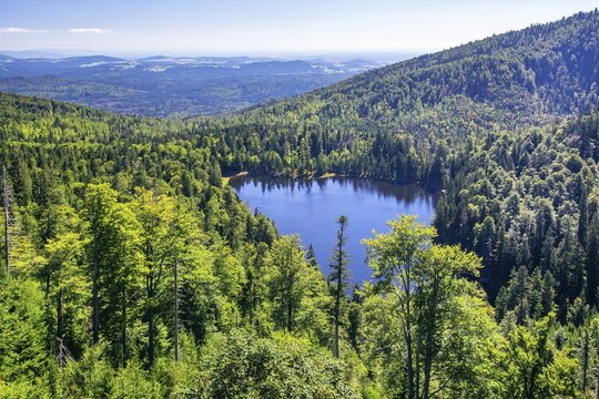 Rachelsee, a cirque lake in the Bavarian Forest National Park, Sankt Oswald-Riedlh&uuml;tte, Bavarian Forest, Lower Bavaria, Bavaria, Germany