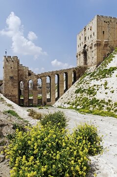 Bridge leading to the citadel, Aleppo, Syria, Middle East, Asia