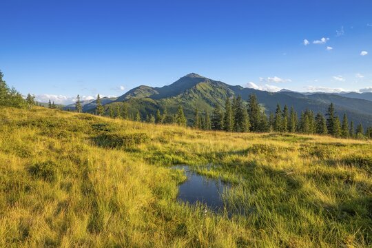 Small pond in the Naunz moorland in summer, Gilfert in the background, Naunz, Tux Pre-Alps, Tyrol, Austria