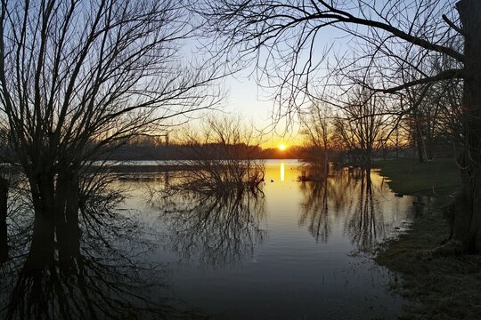 Sunrise over Lake &Ouml;lper, winter, calm, Braunschweig, Lower Saxony, Germany
